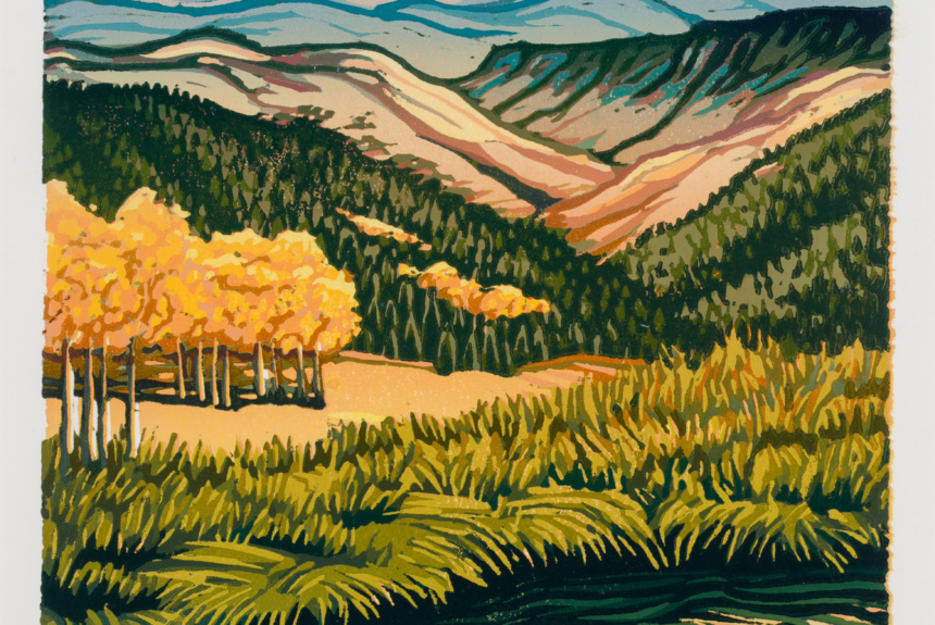 Angie Coleman, screenprint, in University Art Collection